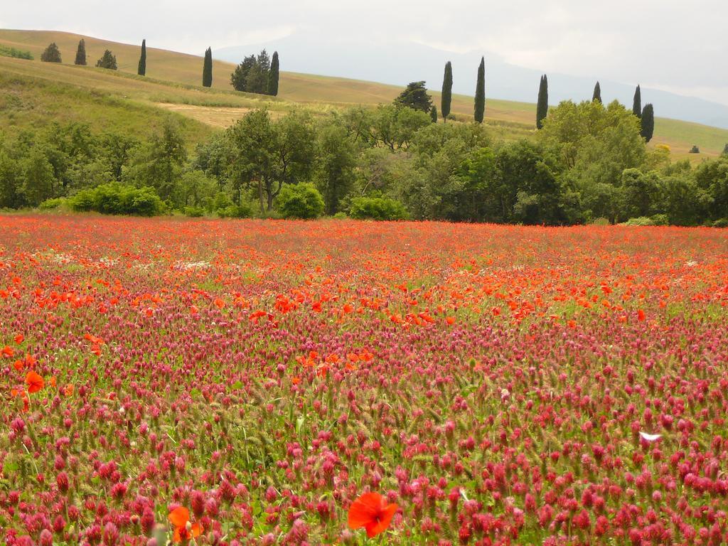 Agriturismo Casalpiano Pienza Luaran gambar