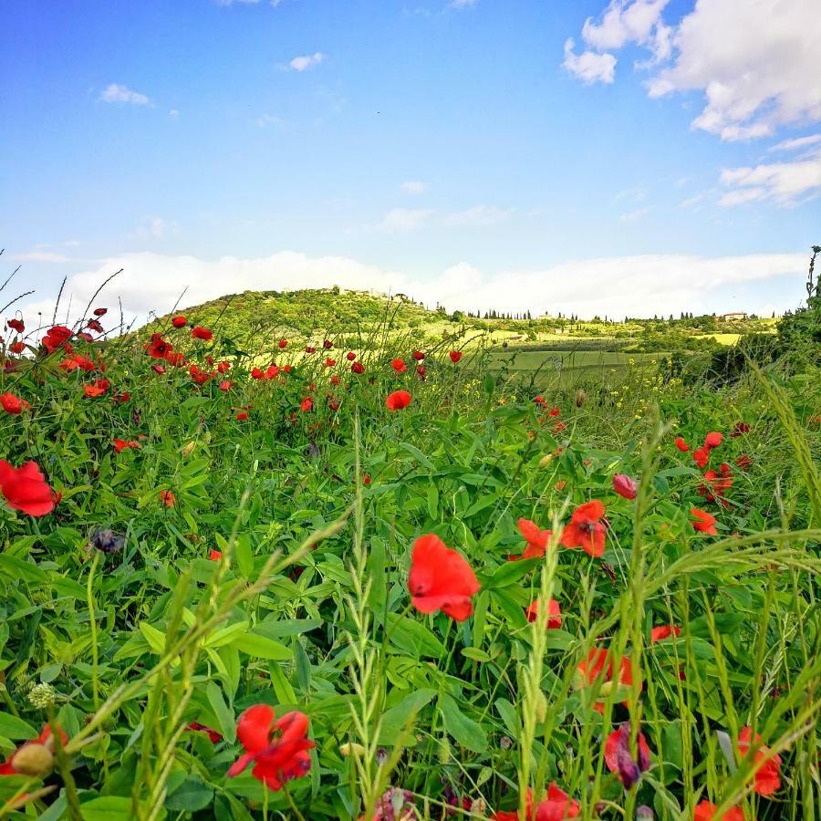 Agriturismo Casalpiano Pienza Luaran gambar