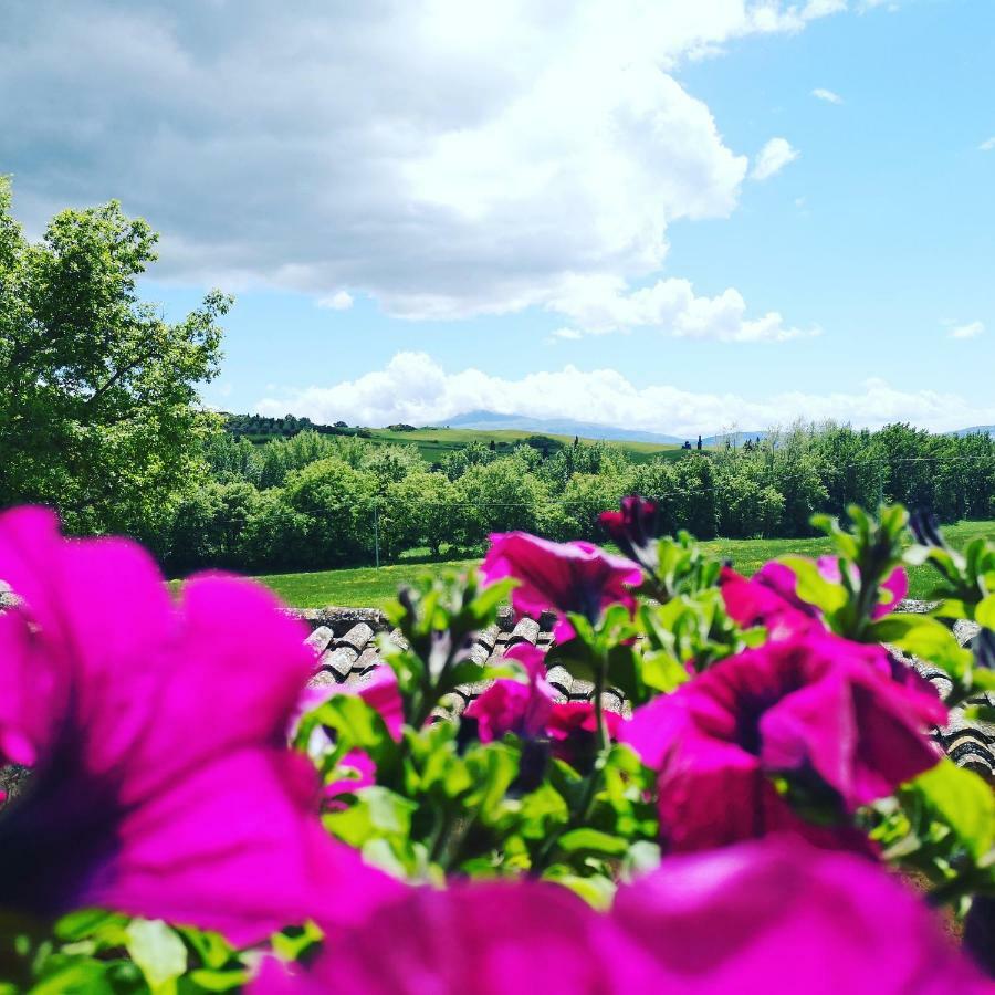 Agriturismo Casalpiano Pienza Luaran gambar